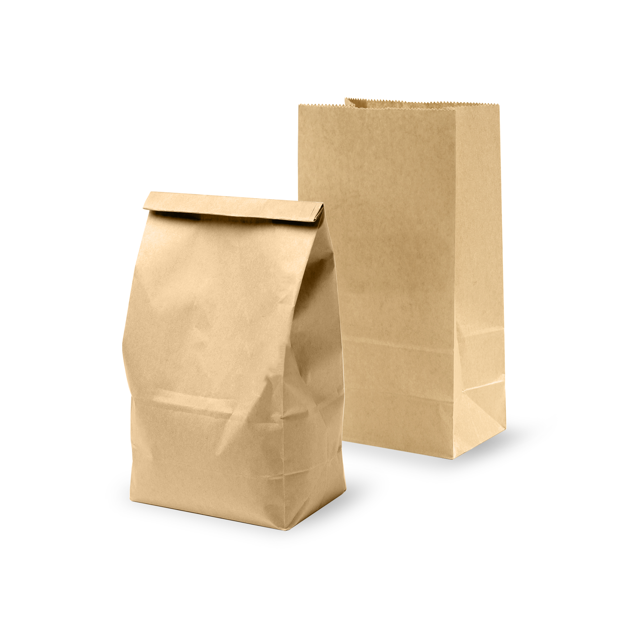 Paper Bags